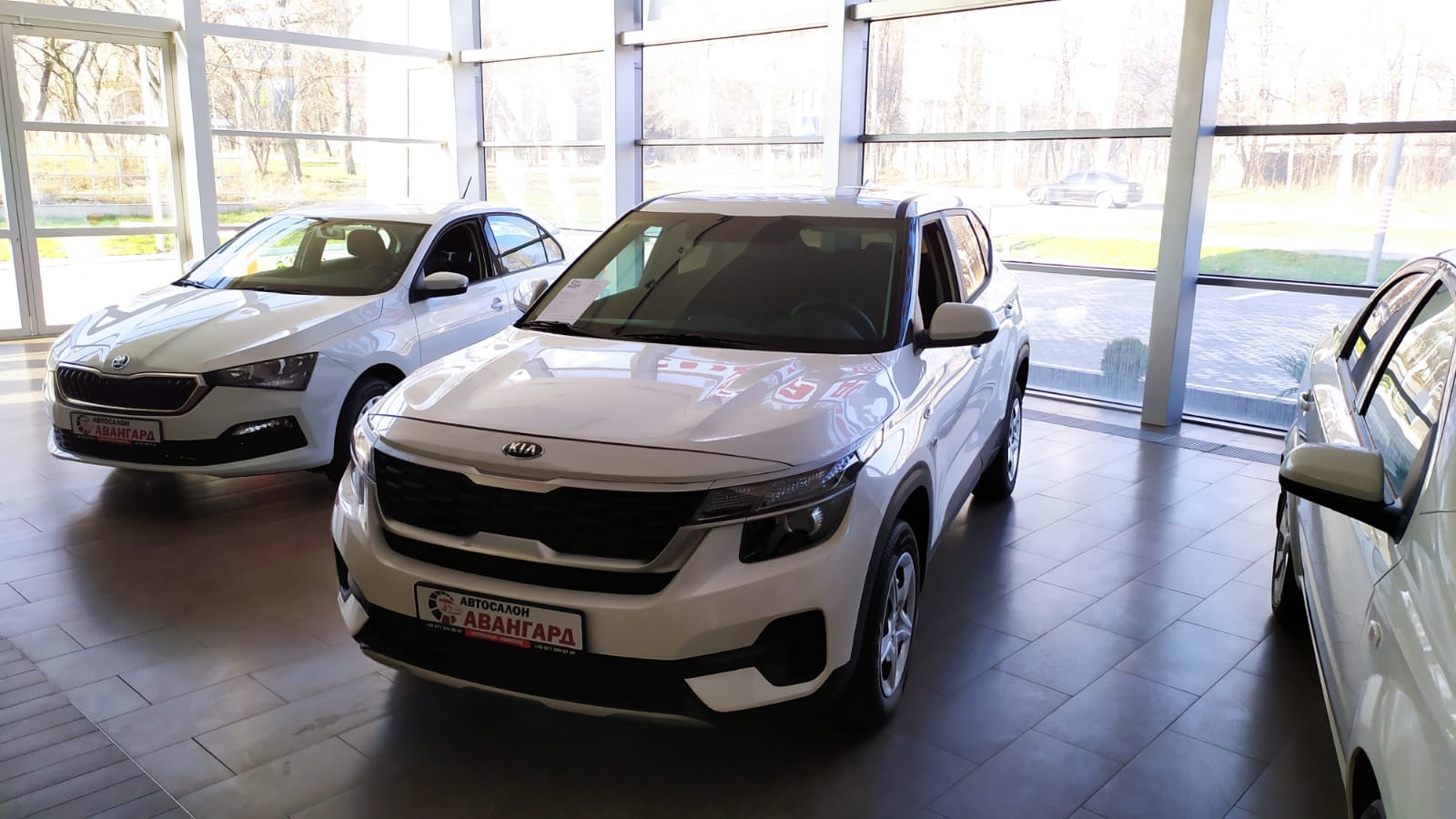 Kia Seltos 1.6 л., 16-кл., (121л.с.). 6MT. Полный. Comfort. Белый. 2021 |  Купить новый автомобиль в Донецке ДНР, в наличии и под заказ | Автосалон  Авангард